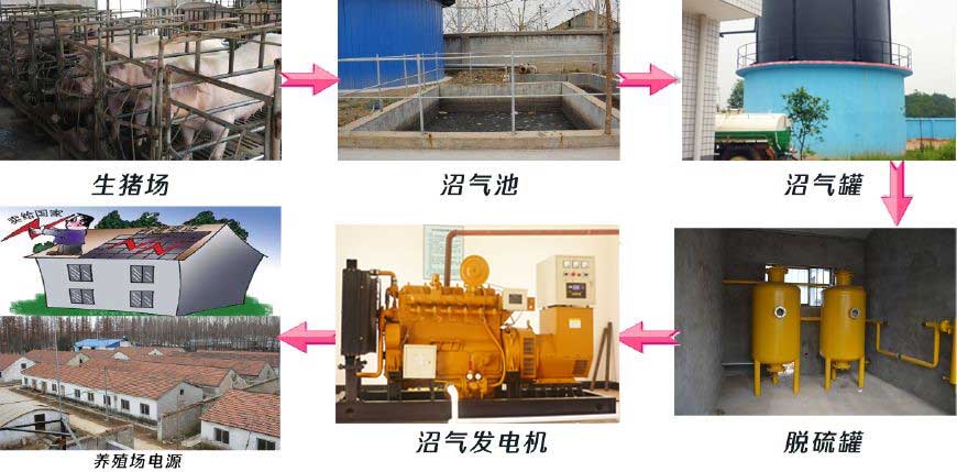 養豬(zhū)場該選擇(zé)多大功率的沼氣發電機組(zǔ)